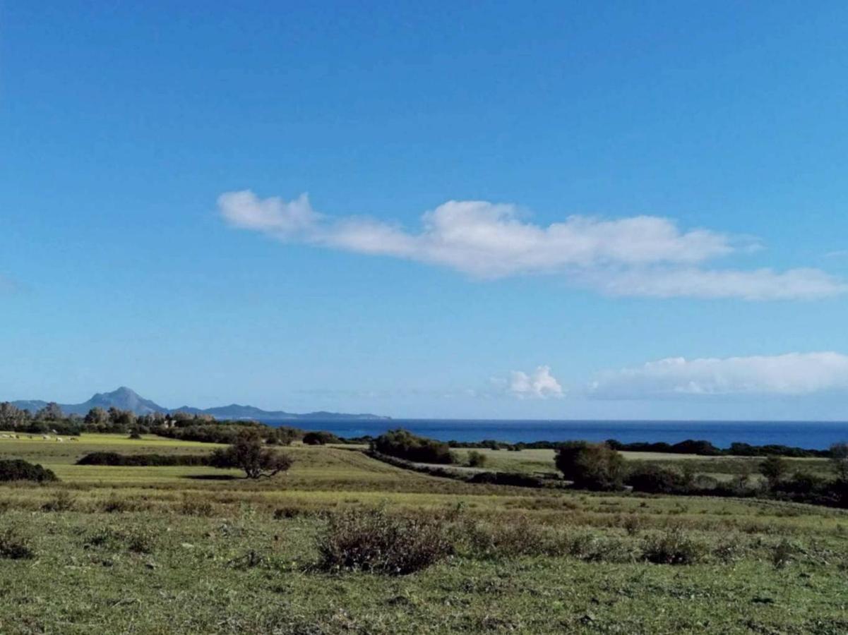 Fattoria Di Anja E Marco Villa Costa Rei Bagian luar foto