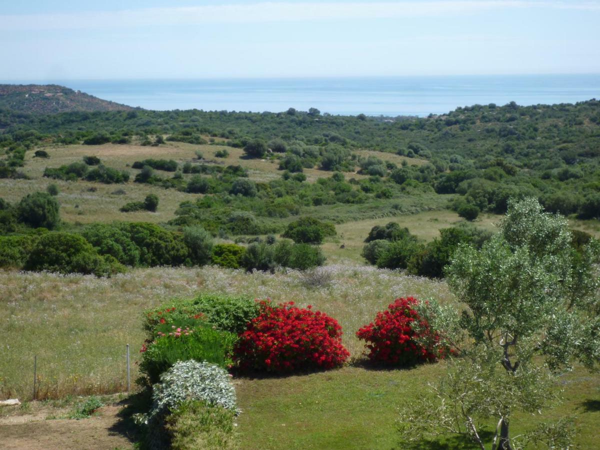 Fattoria Di Anja E Marco Villa Costa Rei Bagian luar foto